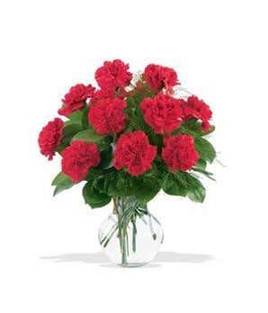 One Dozen Red Carnations Bouquet